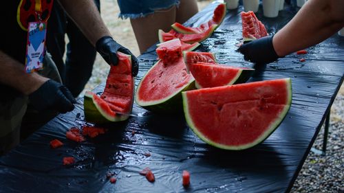 Start mai rapid în sezonul lubeniței de Gottlob datorită temperaturilor ridicate / ”Sezonul arată bine, lubenița e foarte dulce, prețul e încă foarte sus”