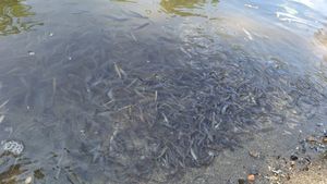 Prefectura judeţului Mureş propune mai multe soluţii tehnice urgente pentru asigurarea apei potabile în zonele afectate de creşterea salinităţii în râul Târnava Mică / S-a reluat furnizarea apei menajere în Târnăveni, Găneşti, Adămuş şi Băgaciu