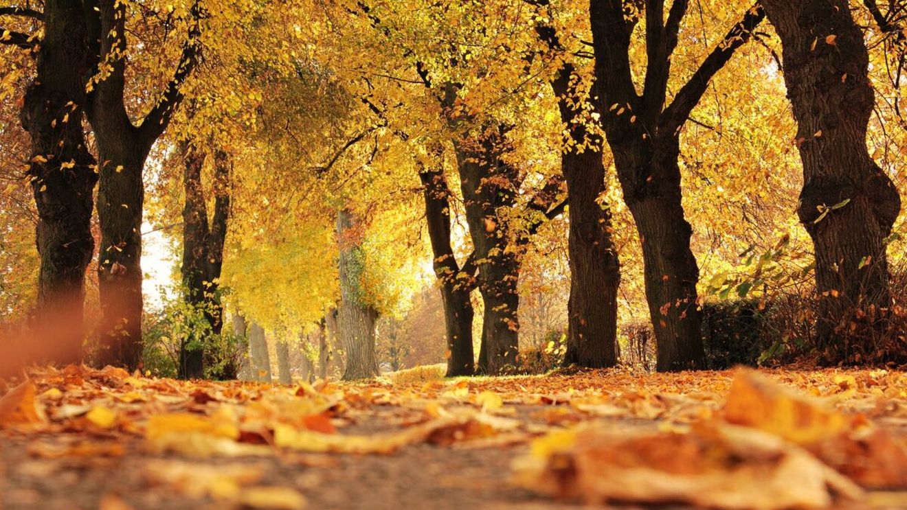 Prognoza meteo: Temperaturi peste cele normale toată luna septembrie
