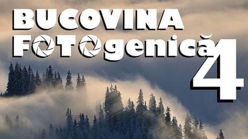 Fotografii au boicotat o expoziție din cauza sponsorizării de la Holzindustrie Schweighofer, organizatorii au renunțat la sponsor