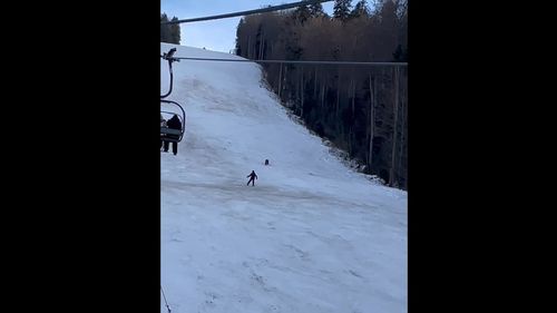 VIDEO Un urs a alergat un schior pe Pârtia Clăbucet din Predeal / Turiștii au sunat de trei ori la 112, iar jandarmii l-au scos, de fiecare dată, de pe pârtie