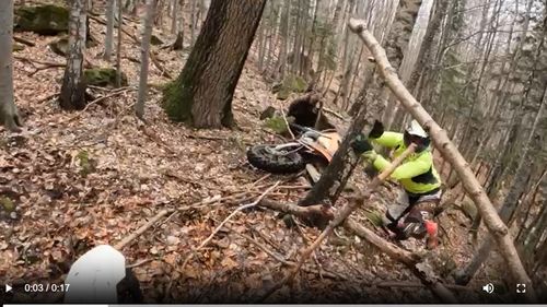 VIDEO Un urs surprins în bârlog a încercat să atace un motociclist enduro