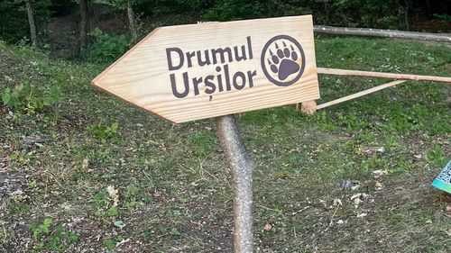Drumul Urşilor - o nouă atracţie turistică pe Valea Gurghiului, în județul Mureș / ”Pe lângă natura deosebită, zona ascunde o istorie remarcabilă, plină de mister”