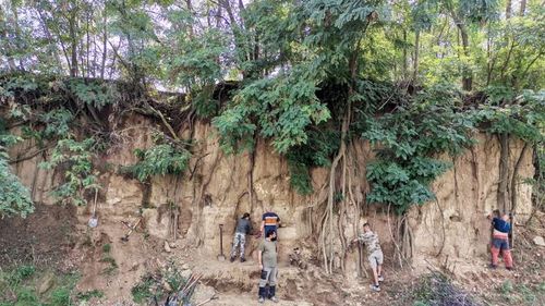 Un sit arheologic din paleolitic, care ar putea fi unic în ţară, a fost descoperit într-o localitate din Vrancea