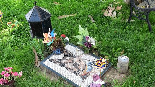 Cluj-Napoca va avea primul cimitir pentru animale de companie: Primarul Emil Boc a oferit în exclusivitate detalii despre proiect (VIDEO)