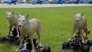Coioți roboți protejează aerodromurile militare americane de fauna sălbatică / Roboții câini Spot ai Boston Dynamics nu au fost la fel de eficienți