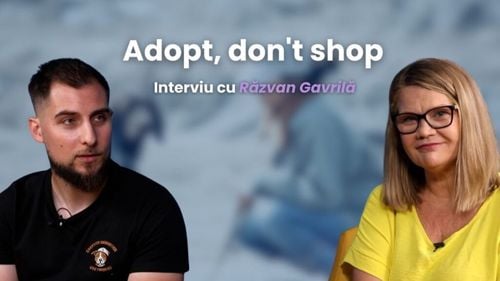 Exclusiv | Secretele instructorului canin Răzvan Gavrilă: ”Nu există câini care nu pot fi dresați, însă dresajul durează toată viața” (VIDEO)