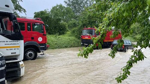 Copaci căzuți pe Transfăgărășan, zone inundate în Dâmbovița/ Pompierii au intervenit în urma furtunilor de duminică