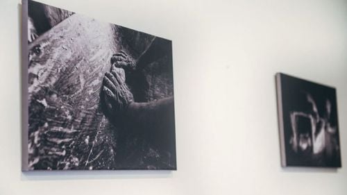 ”Paradisul evitat”, o expoziţie cu fotografii din Ţinutul Secuiesc şi regiunea în care trăiesc ceangăi se va deschide în Parlamentul României