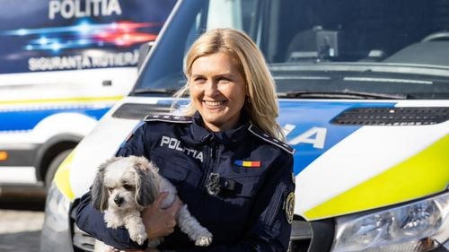 Poliția Română a salvat peste 220 de animale în 3 luni: Amenzi și dosare penale pentru cazurile de cruzime