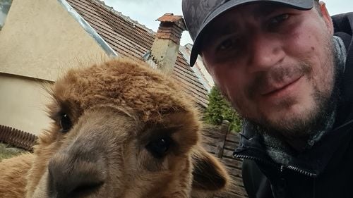 DERAPAJ Polițistul Marian Godină, despre senatorarea Diana Șoșoacă: Să vii cu soluții e mai greu, de grohăit poate orice porc