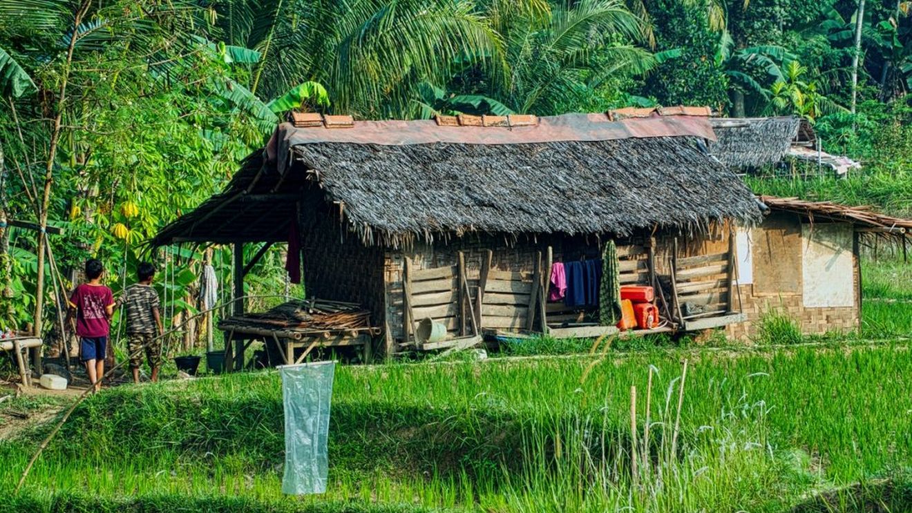 Indonezia: autoritățile dintr-o zonă rurală le dau găini bonus bătrânilor care se vaccinează anti-Covid