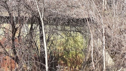 Accesul într-un fost adăpost antiaerian, descoperit din întâmplare la Reşiţa / Intrarea era blocată de o clădire construită fără autorizație