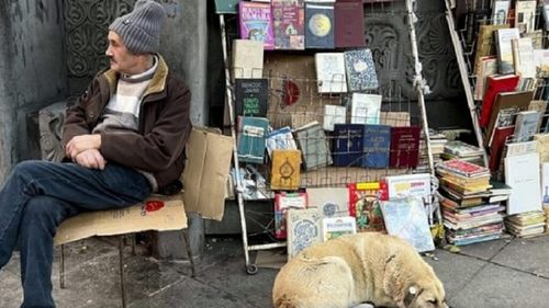 Singurul oraș din lume unde câinii vagabonzi trăiesc regește. Cum a reușit să integreze mii de maidanezi în piesajul urban / Locuitorii nu se tem de ei, turiștii rămân mască