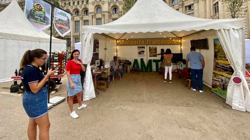 S-au instalat în curtea Senatului pentru a spune povestea Mocăniței, cu scopul de a strânge fondurile necesare pentru înlocuirea traverselor uzate