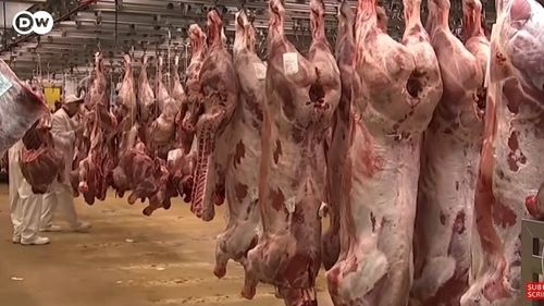 Muncitori bulgari şi români, trataţi ca sclavi în Germania, într-un abator Tonnies, dezvăluie un documentar postul SAT1