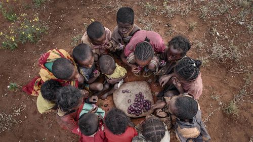 Premieră alarmantă: Peste un milion de oameni din Madagascar, în pragul foametei din cauza schimbărilor  climatice