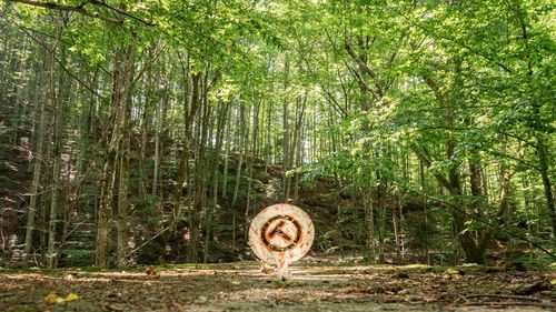 Via Transilvanica va fi finalizată în întregime în acest an, iar marea deschidere va fi marcată cu un târg la Alba Iulia / Traseul turistic pornește de la Putna și se încheie la Drobeta Turnu Severin