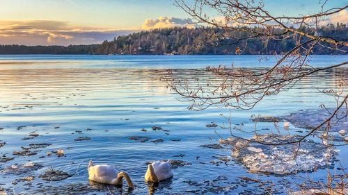 Tu unde îți faci următoarea vacanță? Drumeții prin 21 de insule, pe un traseu de 270 de km în Suedia: Insulelele Arhipelagului Stockholm, conectate pentru turism eco