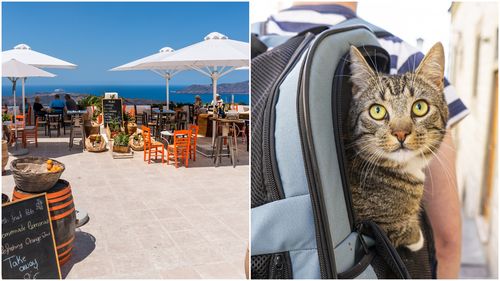 Sondaj: Românii consideră că Grecia și Turcia sunt cele mai atractive țări din punct de vedere culinar / 62% alocă 25-50% din buget mâncării în vacanță / Ce fac respondenții cu animalele de companie când sunt în concediu?