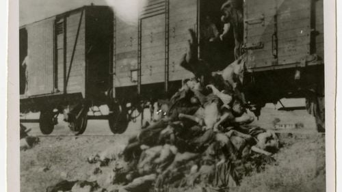 Amintiri din trenul morții: ”De sete, mulți au început să-și bea propria urină. Unii au înnebunit, aruncându-se în neștire de la un capăt la altul al vagonului” / Andrei Muraru: Mărturia lui Țucărman e una dintre cele mai tulburătoare pagini despre Pogromul de la Iași