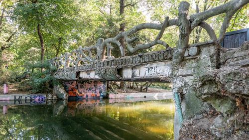 Parcurile Cișmigiu și Herăstrău au ajuns o rușine, acuză Gabriela Firea: "Primarul general și majoritatea care-l susține sunt principalii responsabili"