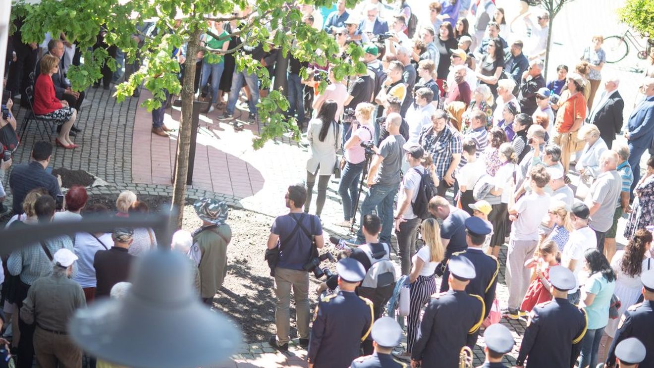 Stejarul plantat de custodele coroanei regale în Piața Libertății din Timișoara ar putea fi înlocuit, după ce s-a uscat / Va fi adus un altul de pe Domeniul Regal de la Săvârșin / Viceprimarul susține că plantarea s-a realizat necorespunzător