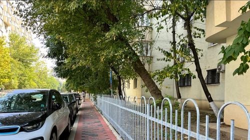 EXCLUSIV O femeie de afaceri condamnată într-un dosar al Clanului Sportivilor este una dintre beneficiarele unui contract de 5 milioane de euro, atribuit fără licitație, pentru montat garduri în Sectorul 3