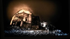 „Sunt o specie foarte greu de observat”: efortul de 10 ani de a fotografia hiena rară care bântuie un oraș fantomă minier de diamante (Reportaj BBC)