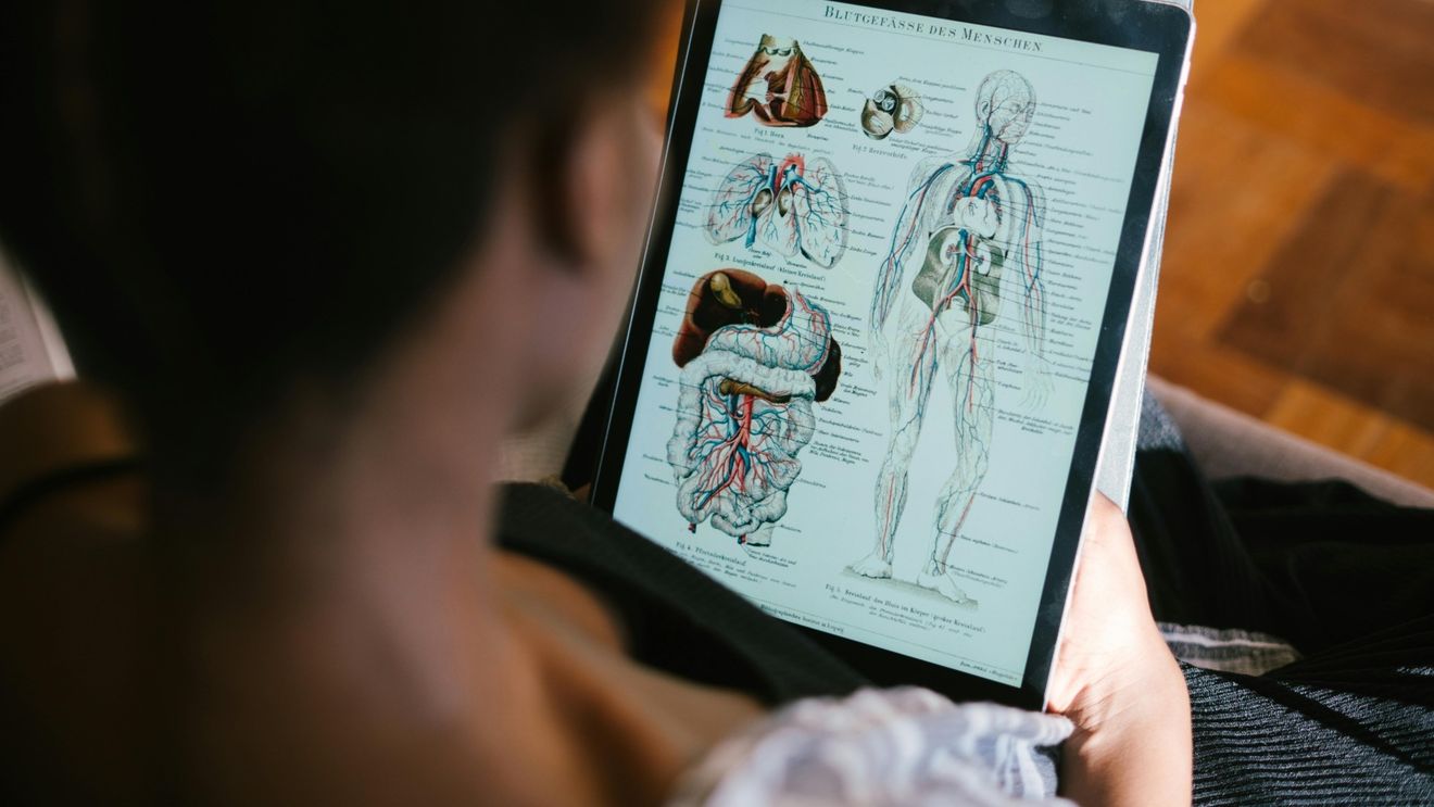 După o donaţie de un miliard de dolari, o şcoală de medicină din Bronx, New York, renunţă la taxele de şcolarizare / Banii, oferiți de o fostă profesoară