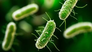 Rafila: Până în anul 2050 mortalitatea produsă prin infecţii cu bacterii multirezistente va fi prima cauză de deces din lume / Apoi vor urma bolile cardiovasculare şi cancerul / În UE, 50.000 de persoane mor în fiecare an din cauza infecțiilor