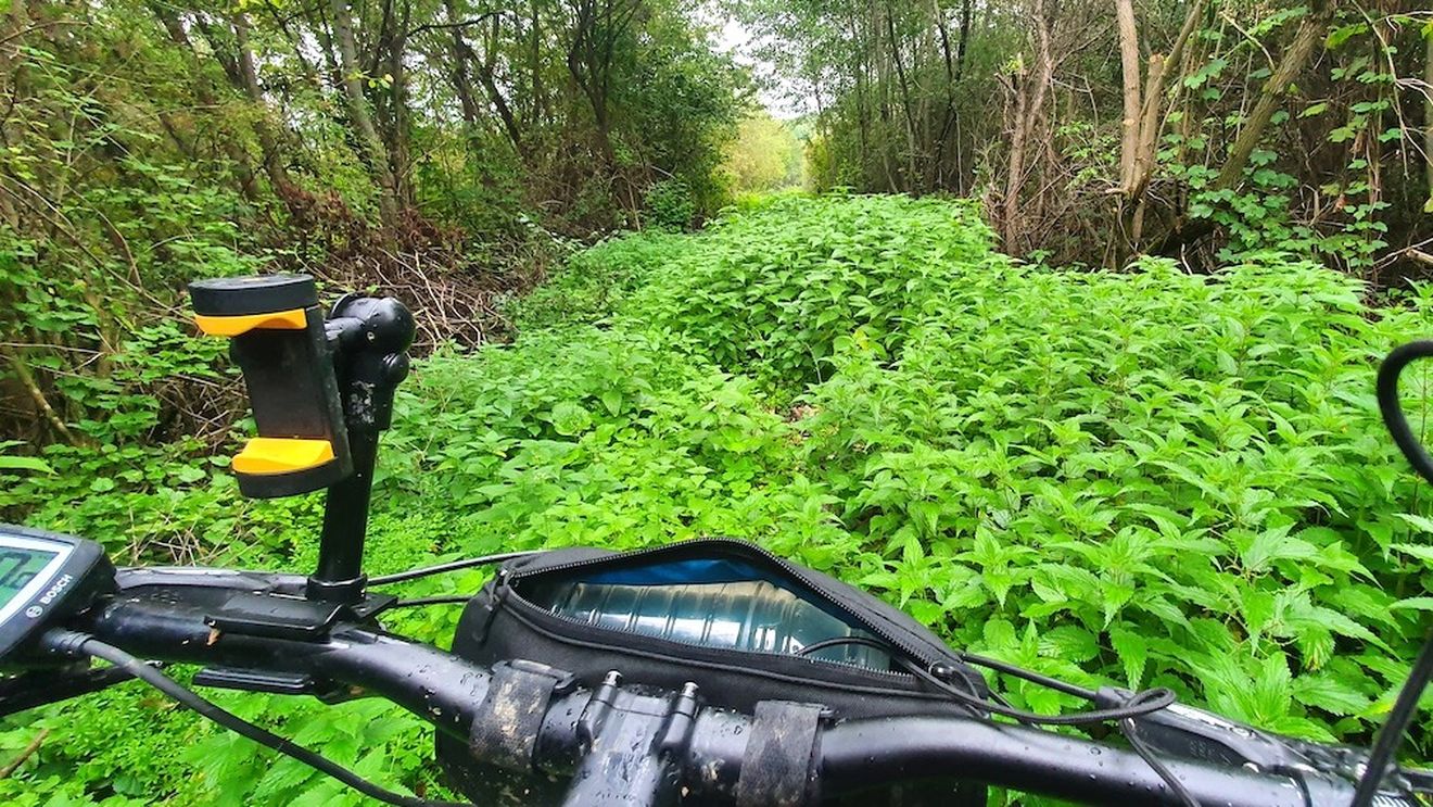 Turnul Sfatului: Pe toată Via Transilvanica, ziua 19 (și 20). Faină-i Țara Hațegului!