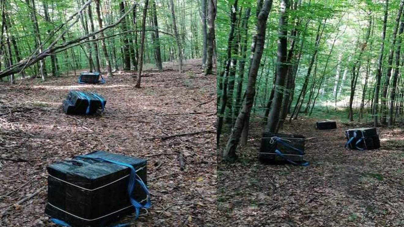 Botoșani: Polițiștii de Frontieră din Dorohoi au tras focuri de armă pentru prinderea unor contrabandiști de țigări / Au fost descoperite șase colete cu peste 9.000 de țigarete
