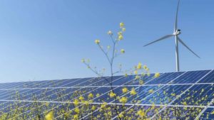 Energia regenerabilă în România, victima colaterală a plafonării prețurilor din ultimii ani