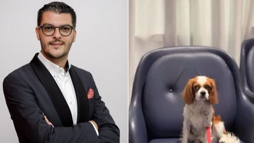 Răzvan Pascu, despre experiența zborului în SUA cu Ido, câinele familiei: „Nu a fost simplu”. Cele 3 reguli cheie pe care orice stăpân de animale trebuie să le știe