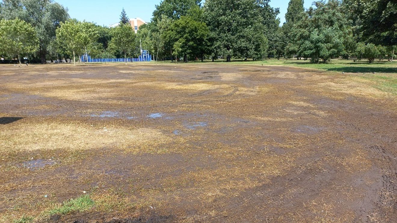 VIDEO Cel mai mare parc din Ploiești, cedat Consiliului Județean după o ședință cu scandal a primăriei
