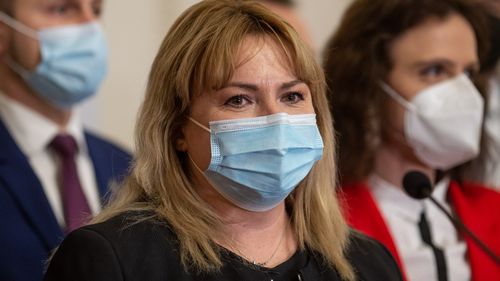 USR contestă la Curtea Constituțională revocarea Ancăi Dragu din funcția de președinte al Senatului