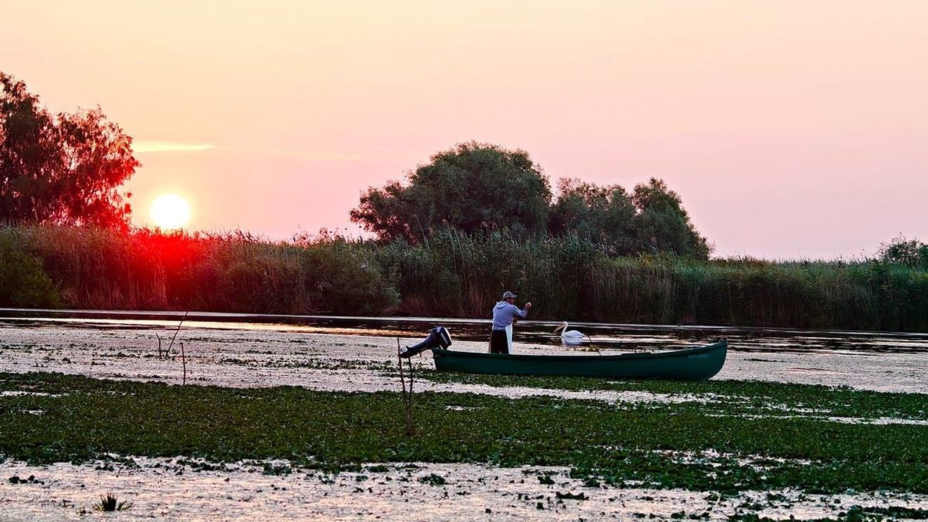 Proiectele de decolmatare din Delta Dunării, în întârziere. ARBDD ia în calcul sancțiuni pentru neînceperea lucrărilor