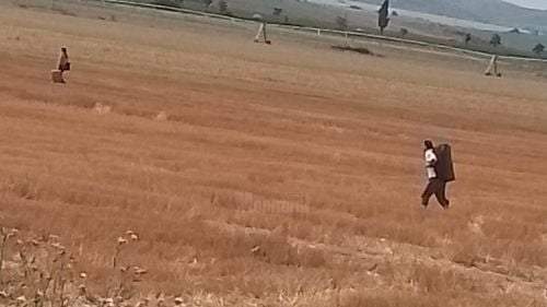 FOTO Zeci de călători CFR au plecat pe câmp, la ocazie / Trenul București Nord - Suceava a rămas duminică blocat, după ce s-a stricat locomotiva / În tren se aflau circa 400 de călători