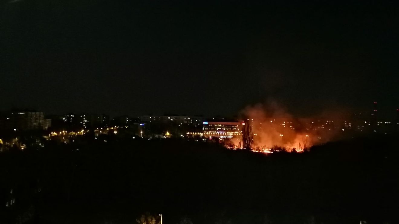 VIDEO Incendiu puternic de vegetație în Parcul IOR din Capitală
