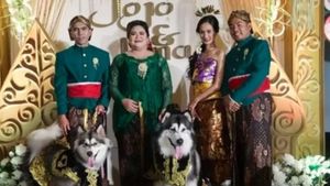 O somptuoasă ''nuntă'' de câini îmbrăcați în haine tradiționale javaneze a stârnit polemică în Indonezia / Ceremonia a costat peste 13 mii de dolari într-o țară cu mari inegalități sociale