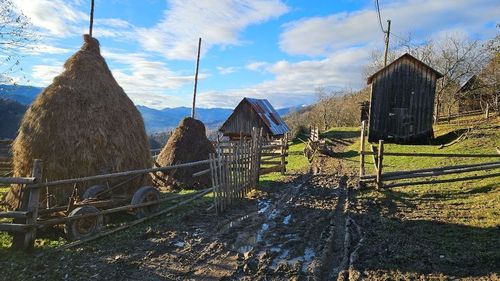 Vor putea supraviețui agriculturii moderne căpițele gigantice de fân din România? - reportaj The Guardian