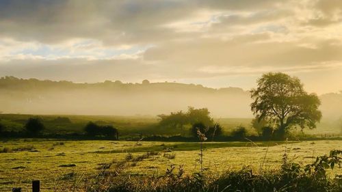 O irlandeză și-a vândut casa prin tombolă online și a încasat 1,8 milioane de euro / Fiecare participant a plătit 6 euro pe bilet