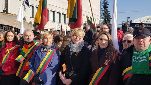 Opoziția de centru-dreapta câștigă alegerile parlamentare din Lituania