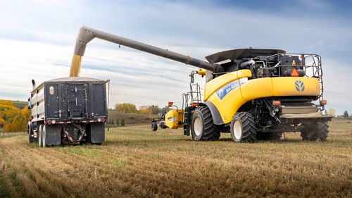 Agricultorii anticipează scumpiri la alimente din cauza producției agricole mondiale slabe / Situația nu depinde de recolta internă / Theodor Ichim, mare fermier: Dacă se face producție în România și există cerere mondială, toată lumea se va duce către export