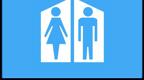 O persoană trans din Florida a fost arestată după ce a încercat să folosească toaleta femeilor