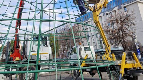 Bradul cu fulare din centrul Târgu Mureșului va fi mutat după ce a stârnit nemulțumirea localnicilor