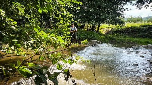 VIDEO | România începe să refacă râurile. Bariere și praguri vechi demolate pentru biodiversitate și siguranță / Interviuri cu hidrologi american și român, un biolog și un ihtiolog