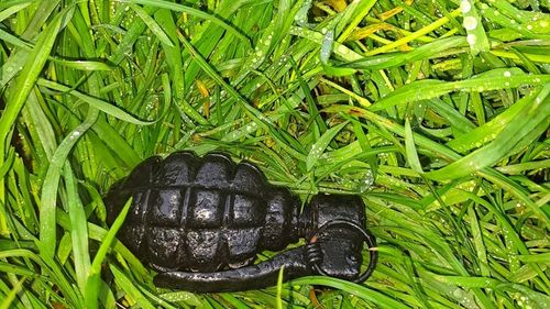 Grenadă de mână defensivă, găsită într-o pădure din localitatea Lozna, în Botoșani