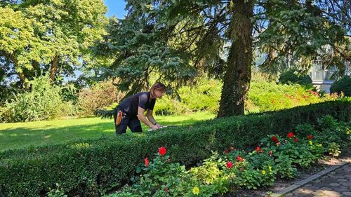 O refugiată din Ucraina și-a deschis o afacere în Cluj: Taie și întreține copaci, arbuști și tufișuri / Se ocupă voluntar și de întreținerea vegetației din Grădina Botanică